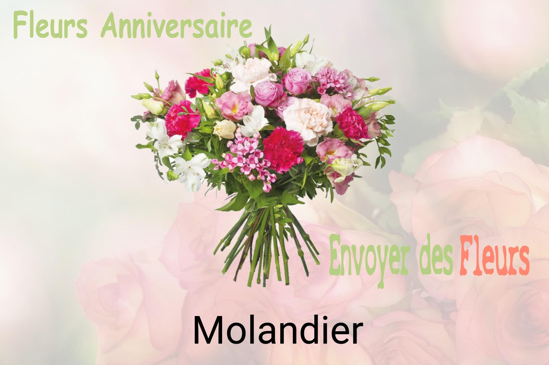 Bouquet de fleurs d’anniversaire livré à Molandier