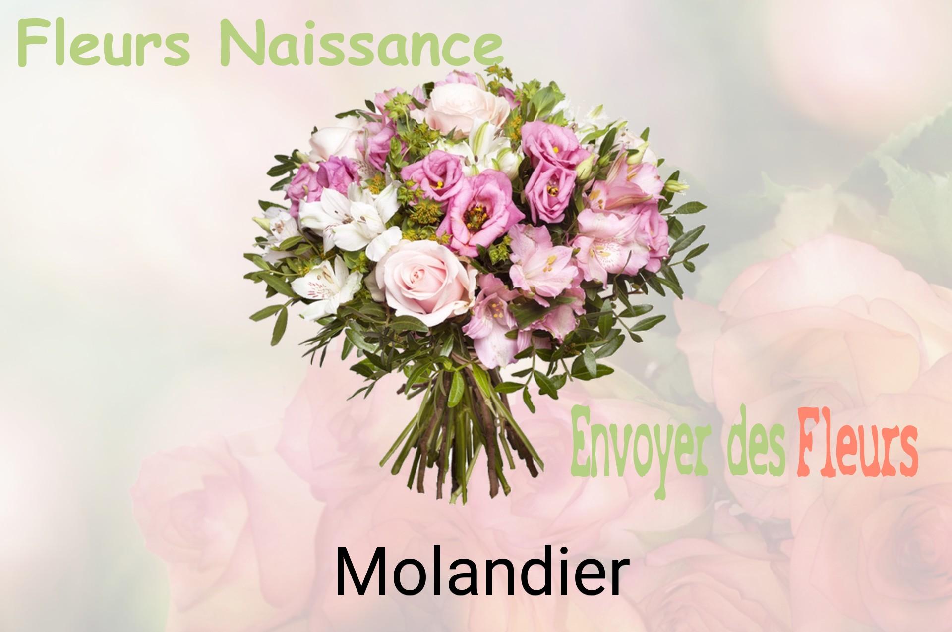 Bouquet de fleurs de naissance livré à Molandier