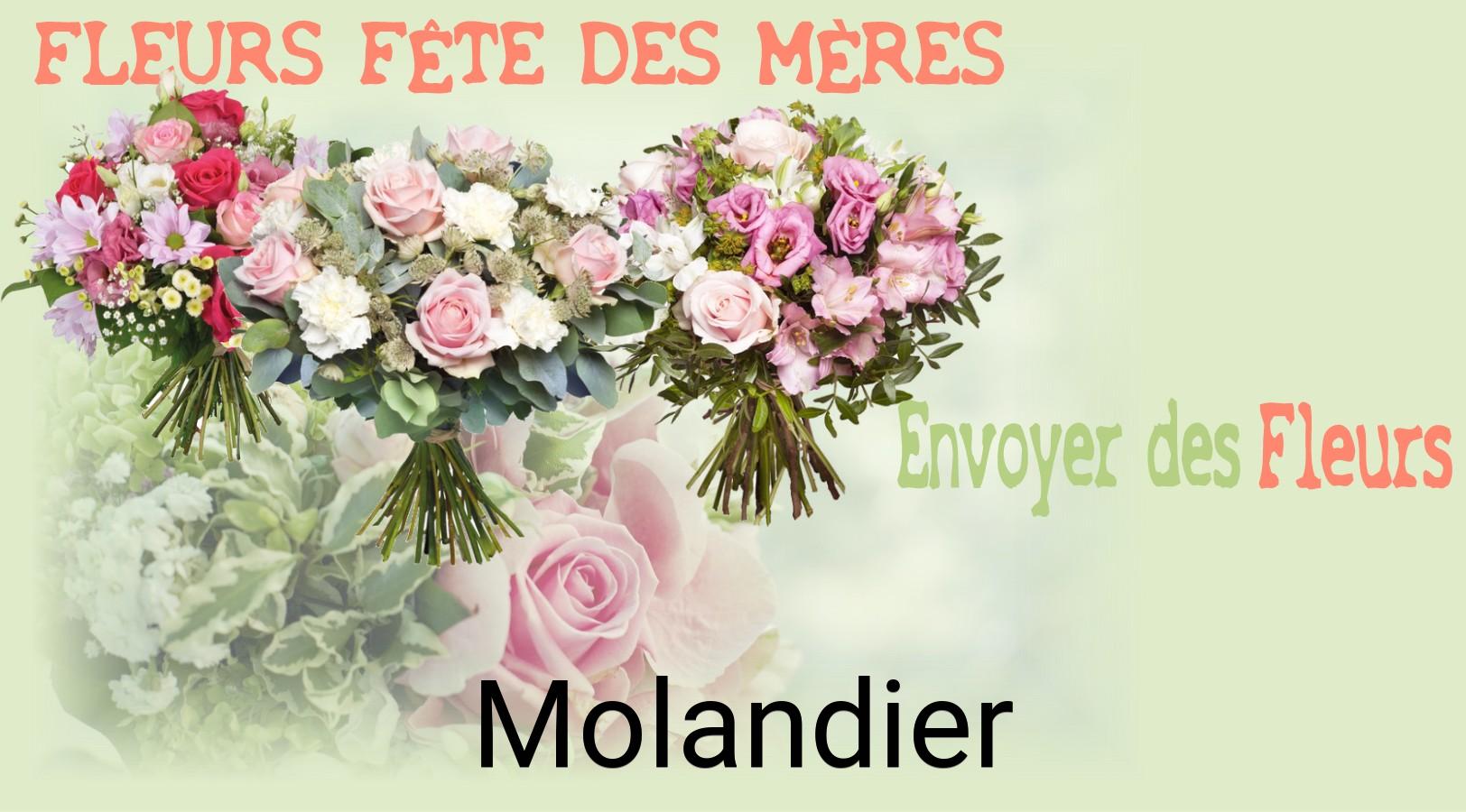 Bouquet de Fête des Mères livré à Molandier